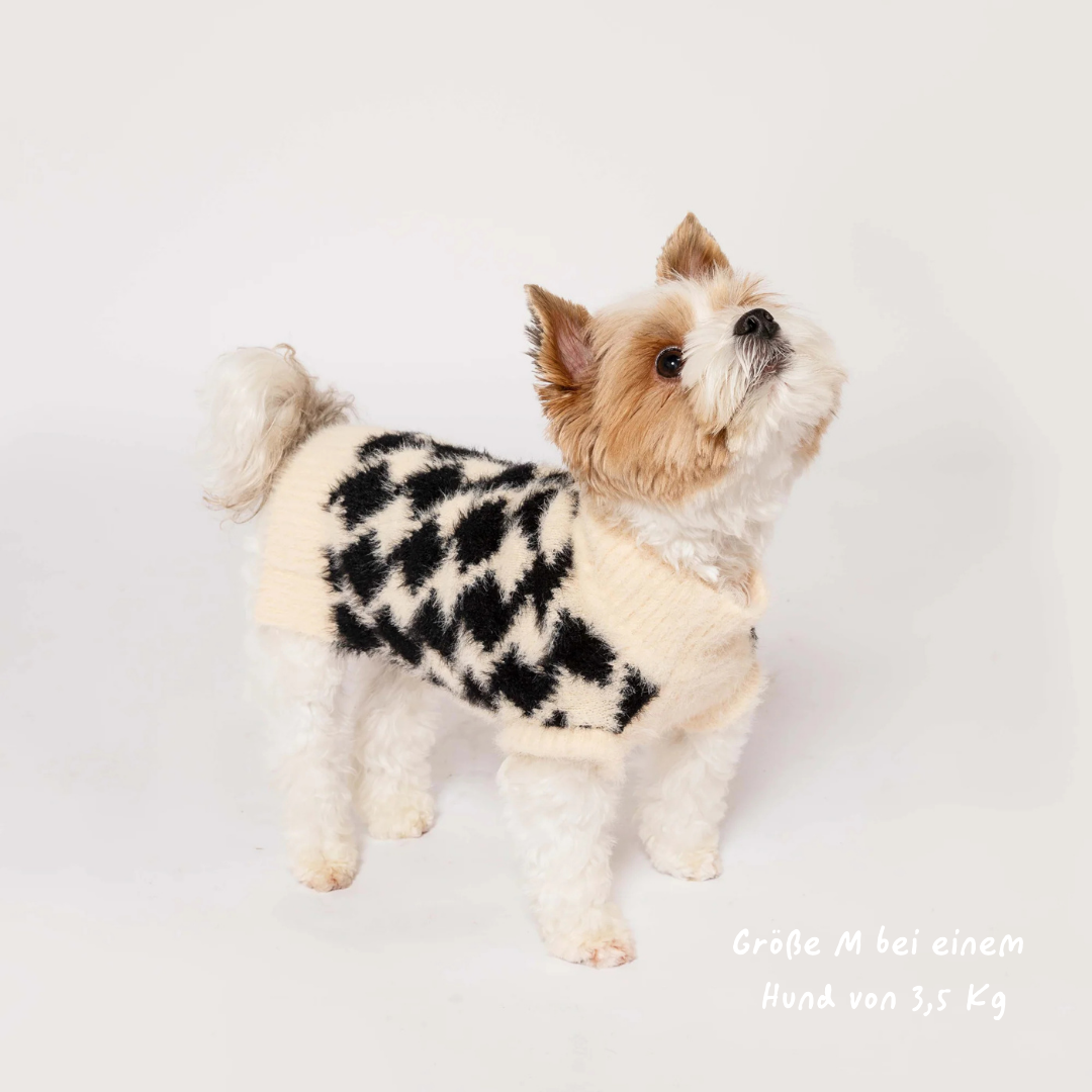 Pixmond Pullover