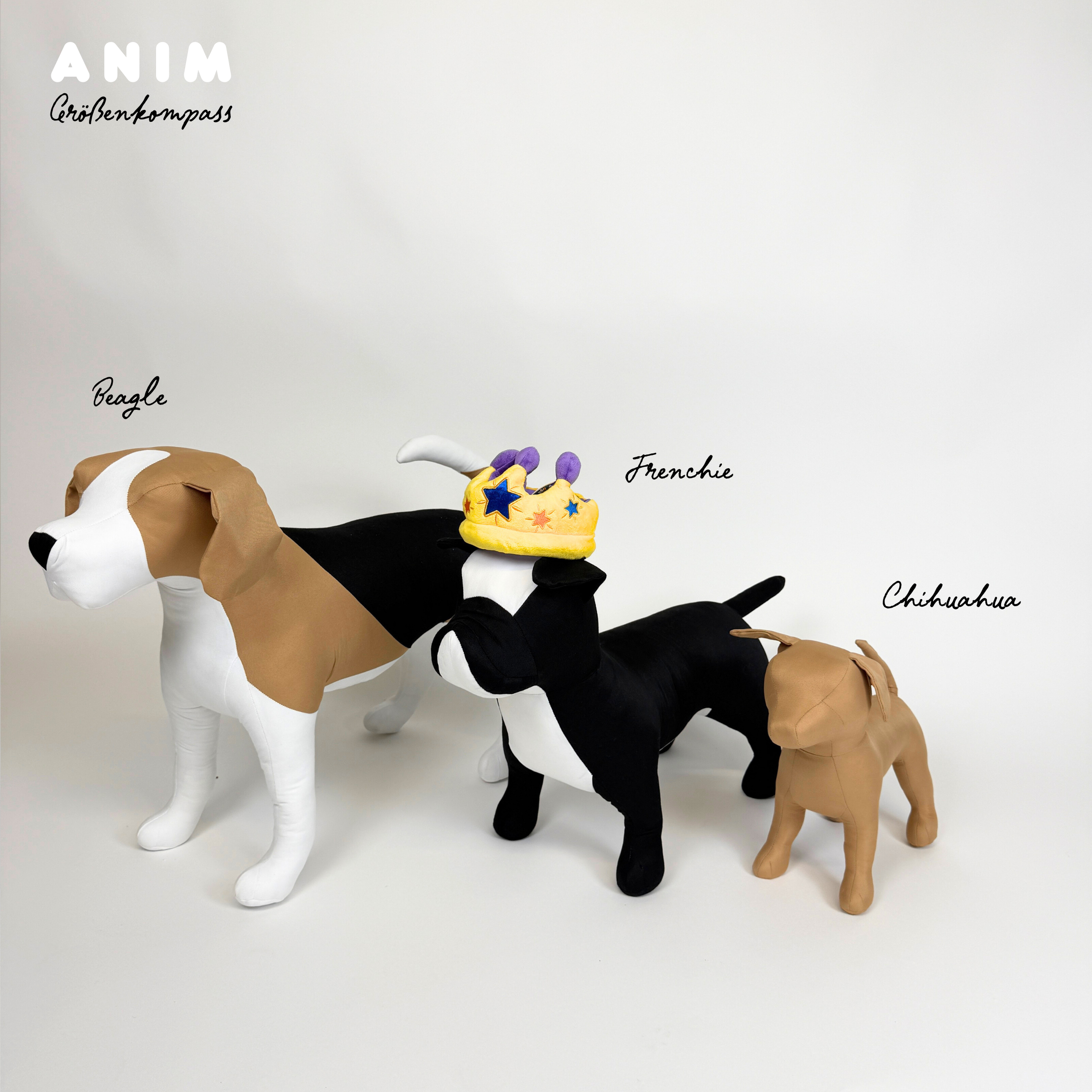 Canine Crown