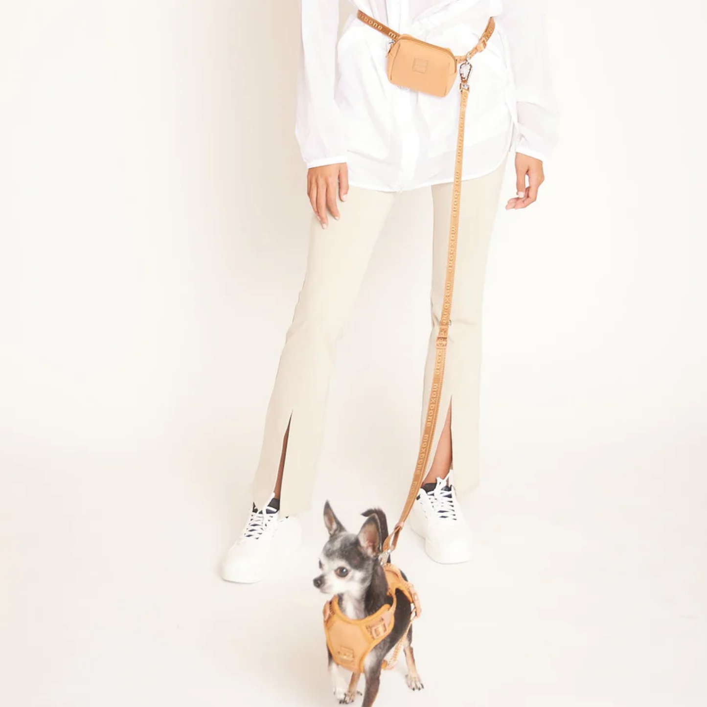 Leine Handsfree 'Mini GO!' - Camel
