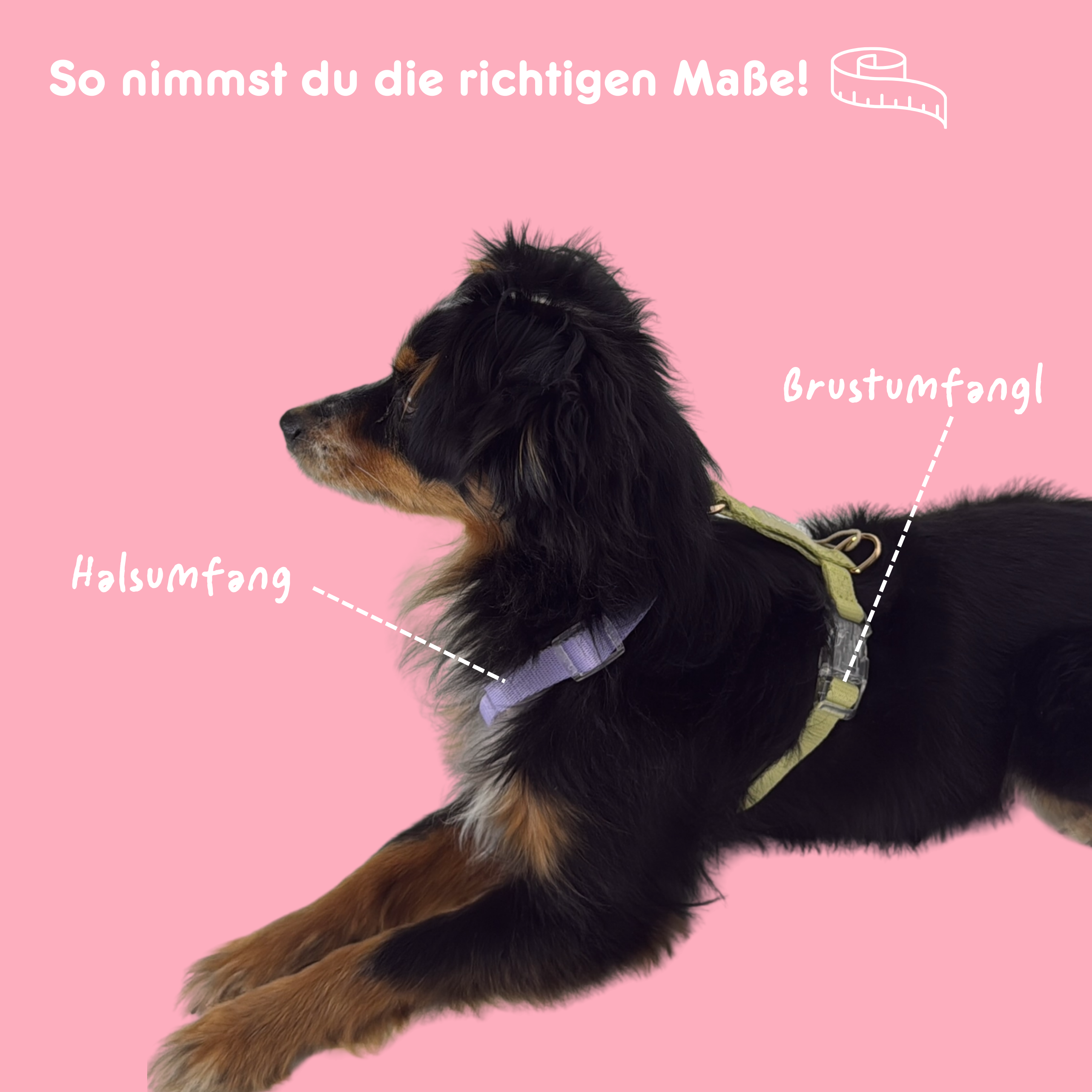 Geschirr 'Duo Blush'