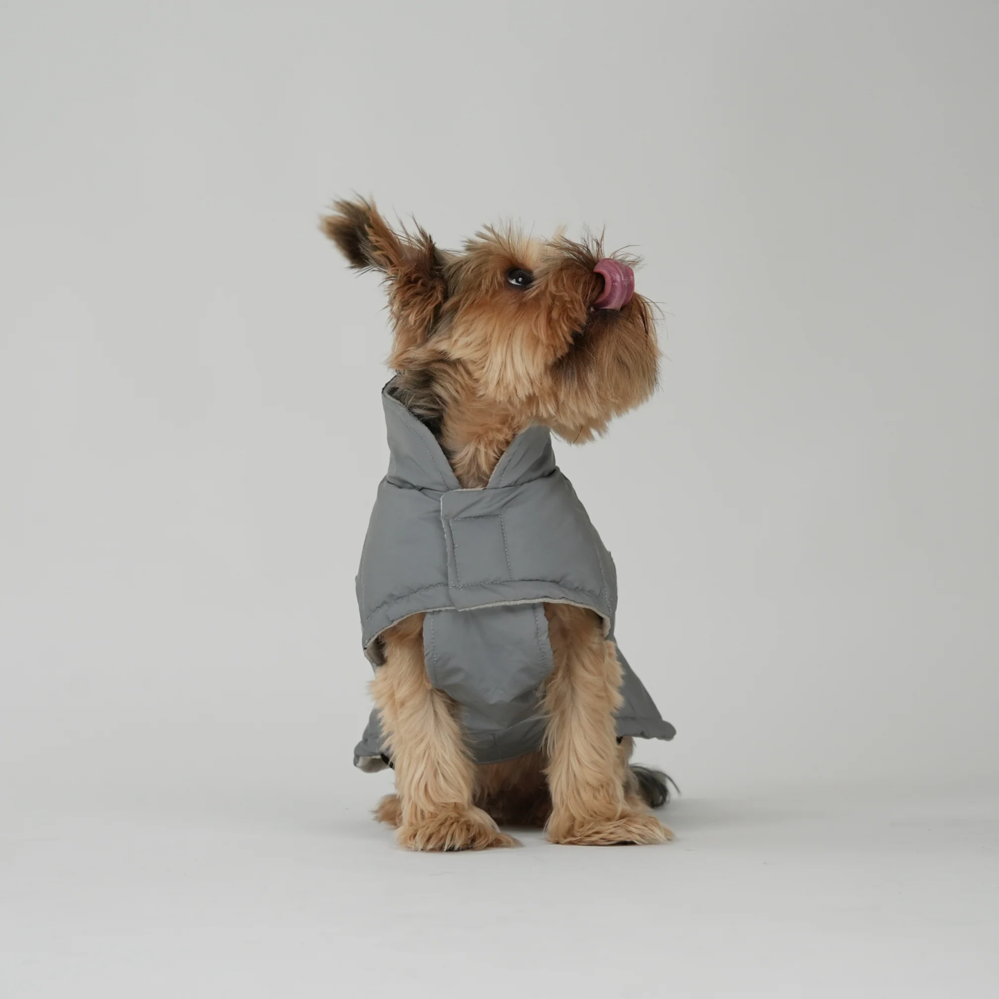 Hundemantel 'Nora Reflekt'