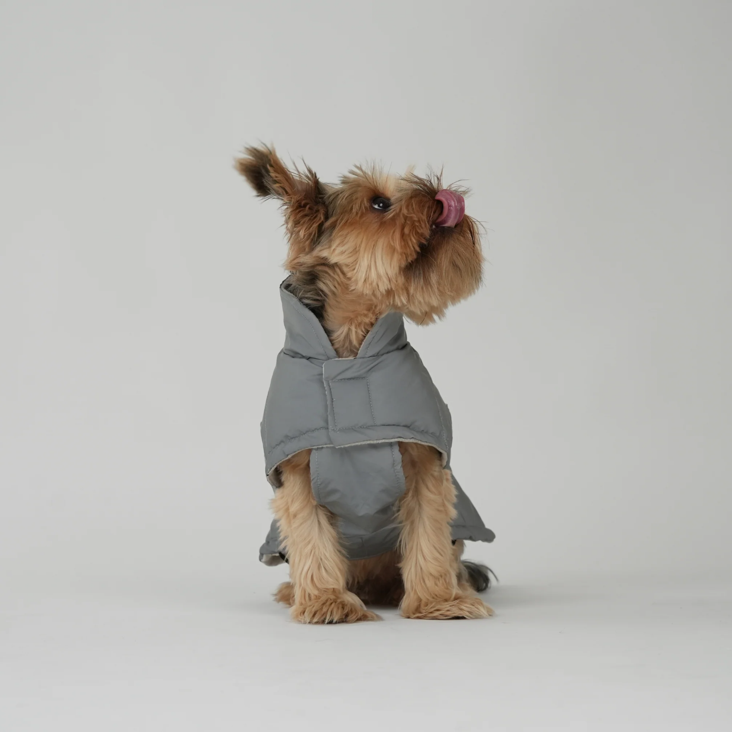 Hundemantel 'Nora Reflekt'