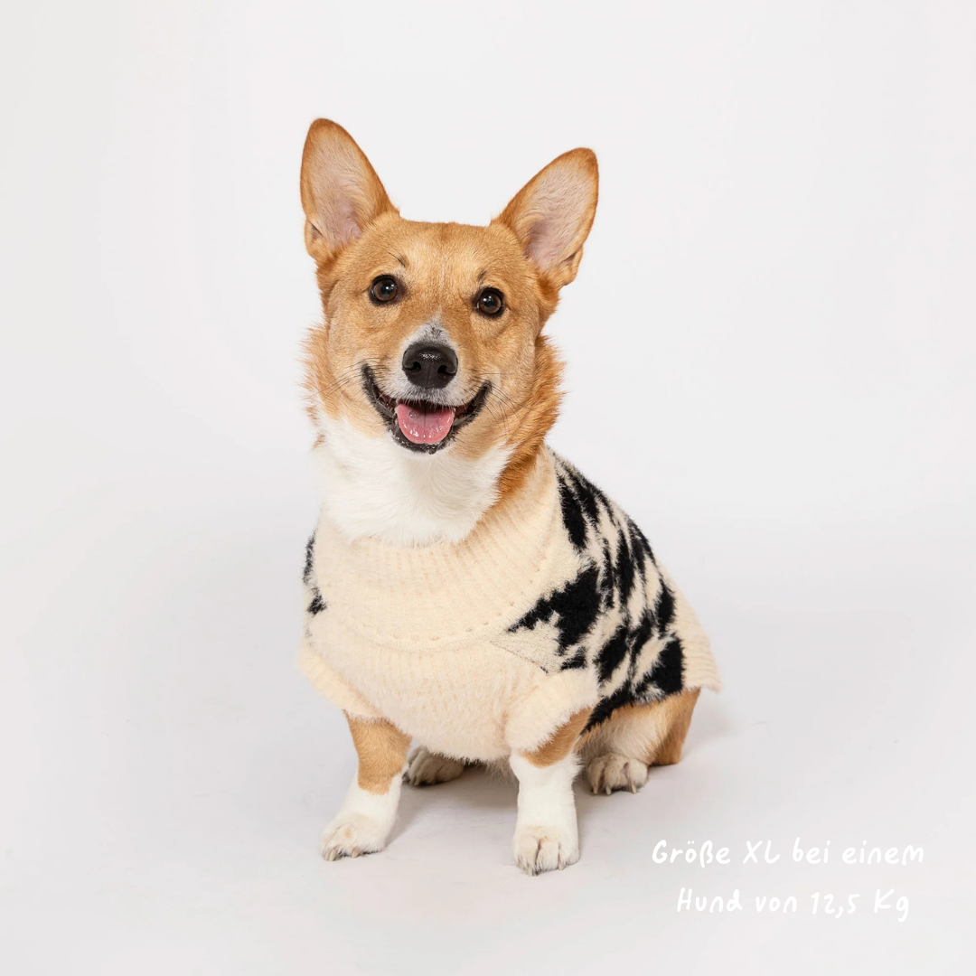 Pixmond Pullover