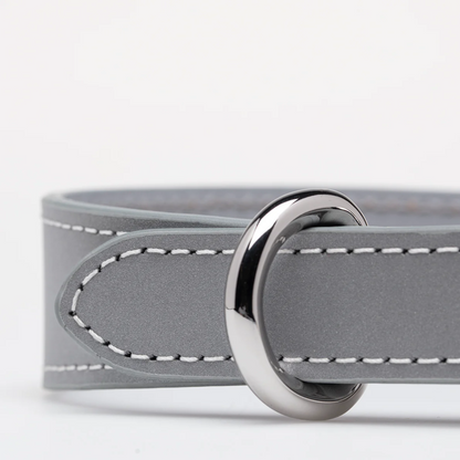 Halsband 'Reflekt'