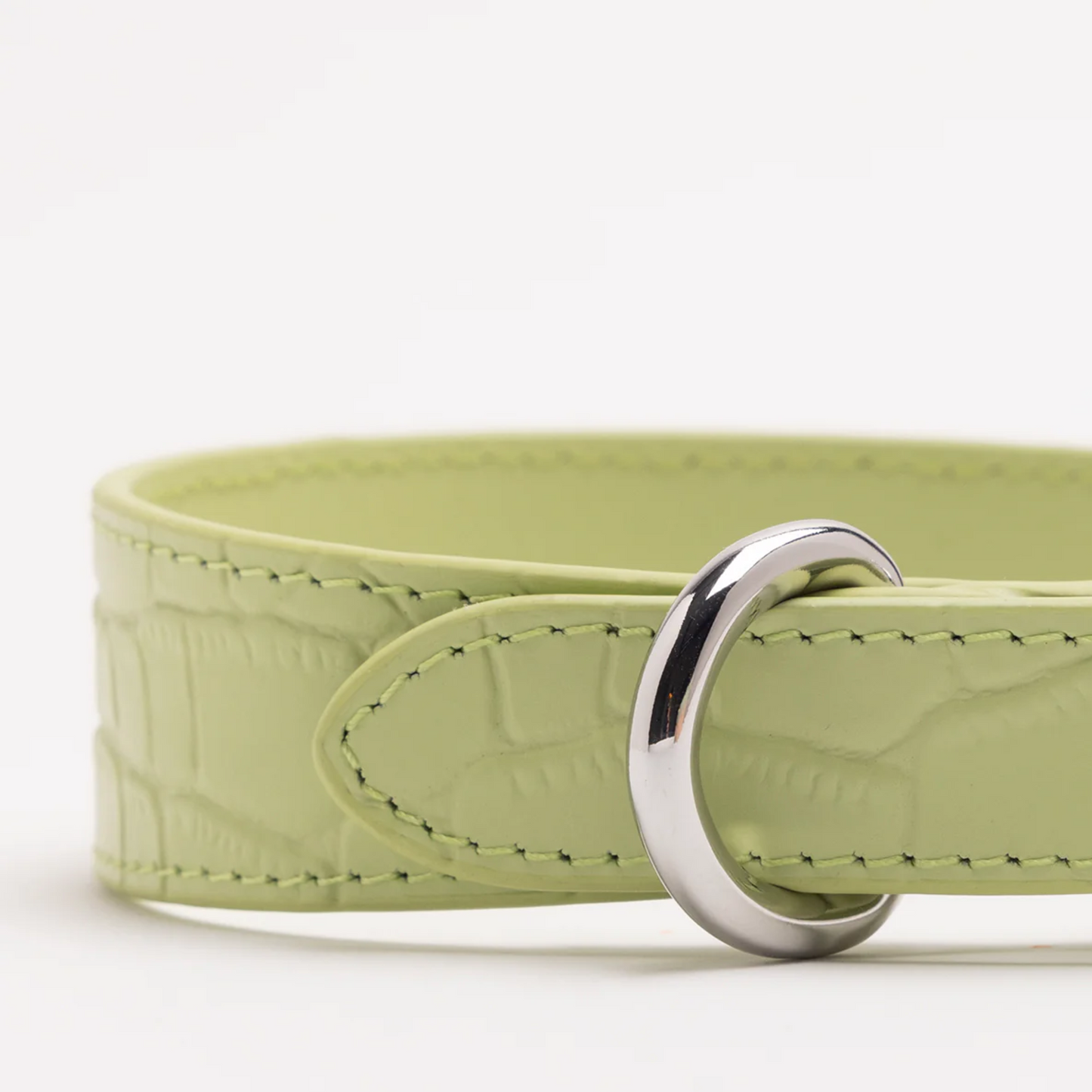 Halsband 'Croco Pastel Green'