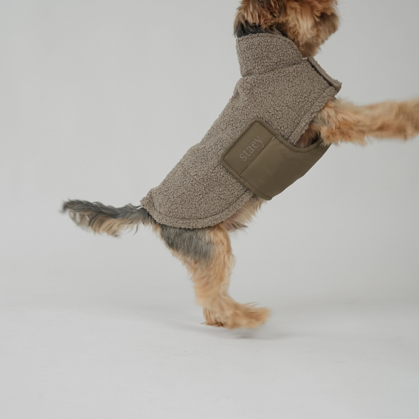 Hundemantel 'Teddy'