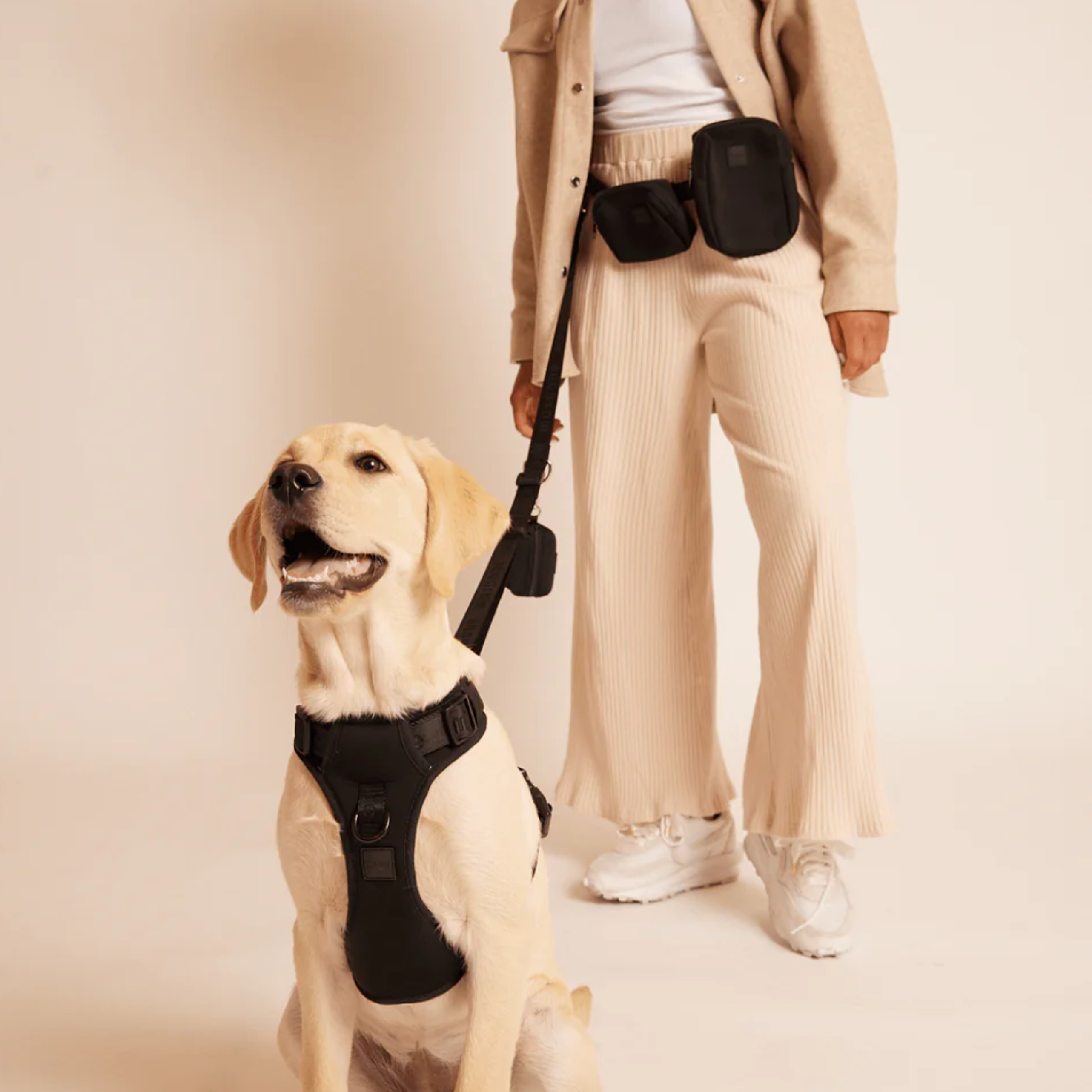 Geschirr 'EASY FIT' - Schwarz