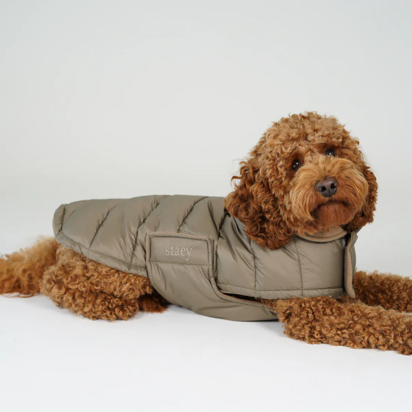 Hundemantel 'Nora Natur'