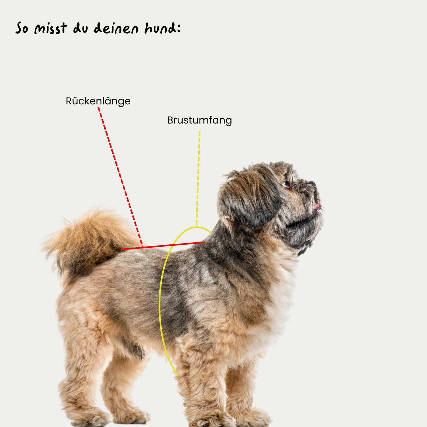 Hundemantel 'Nora Natur'