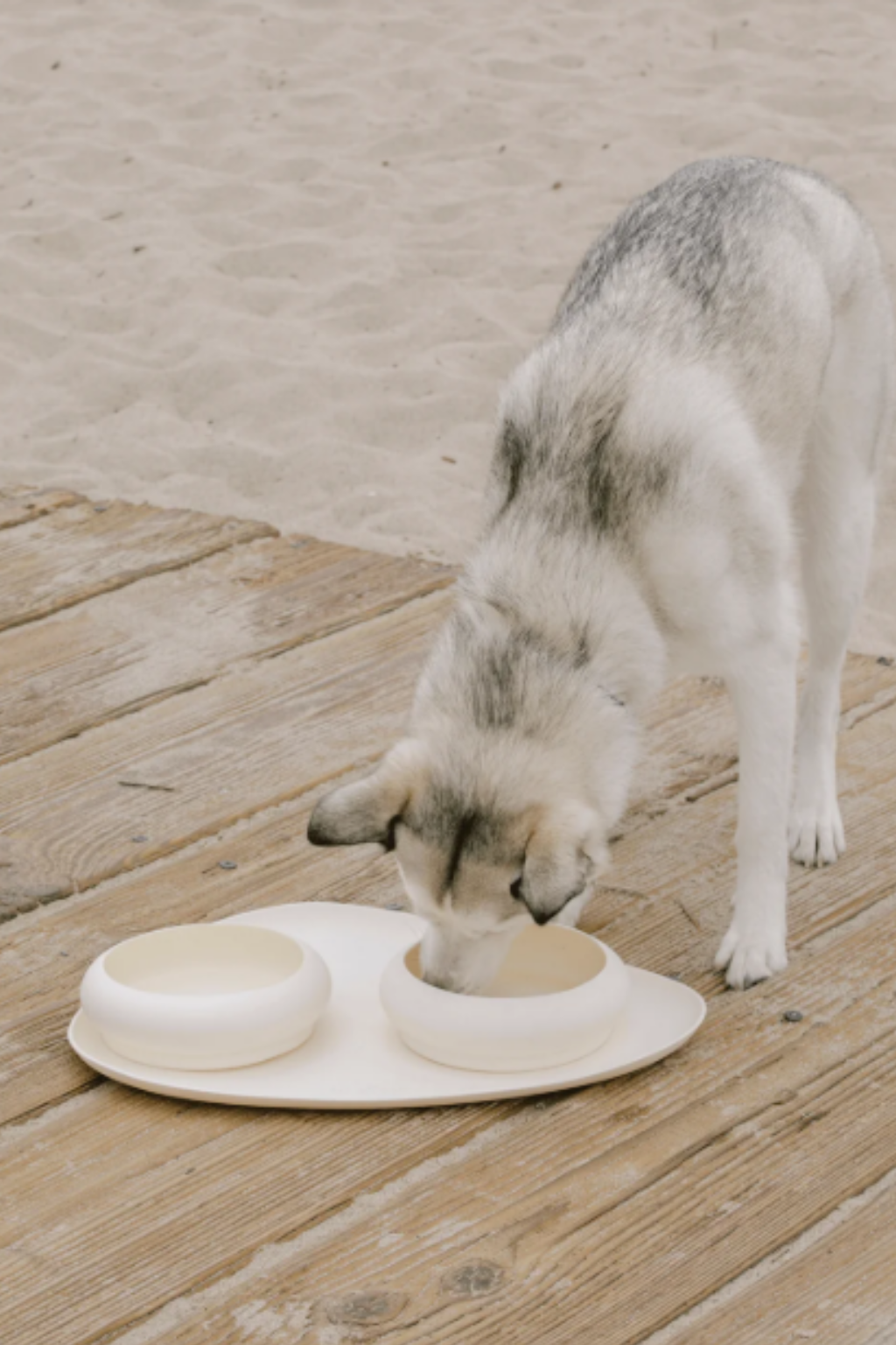 Napf 'Bubble Bowl'