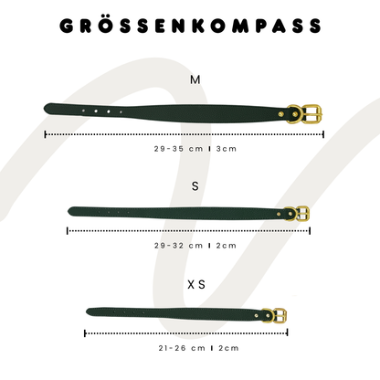 Halsband 'Reflekt'