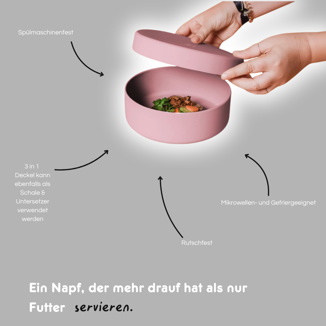 Silikon-Futternapf mit Deckel - Hellgrau
