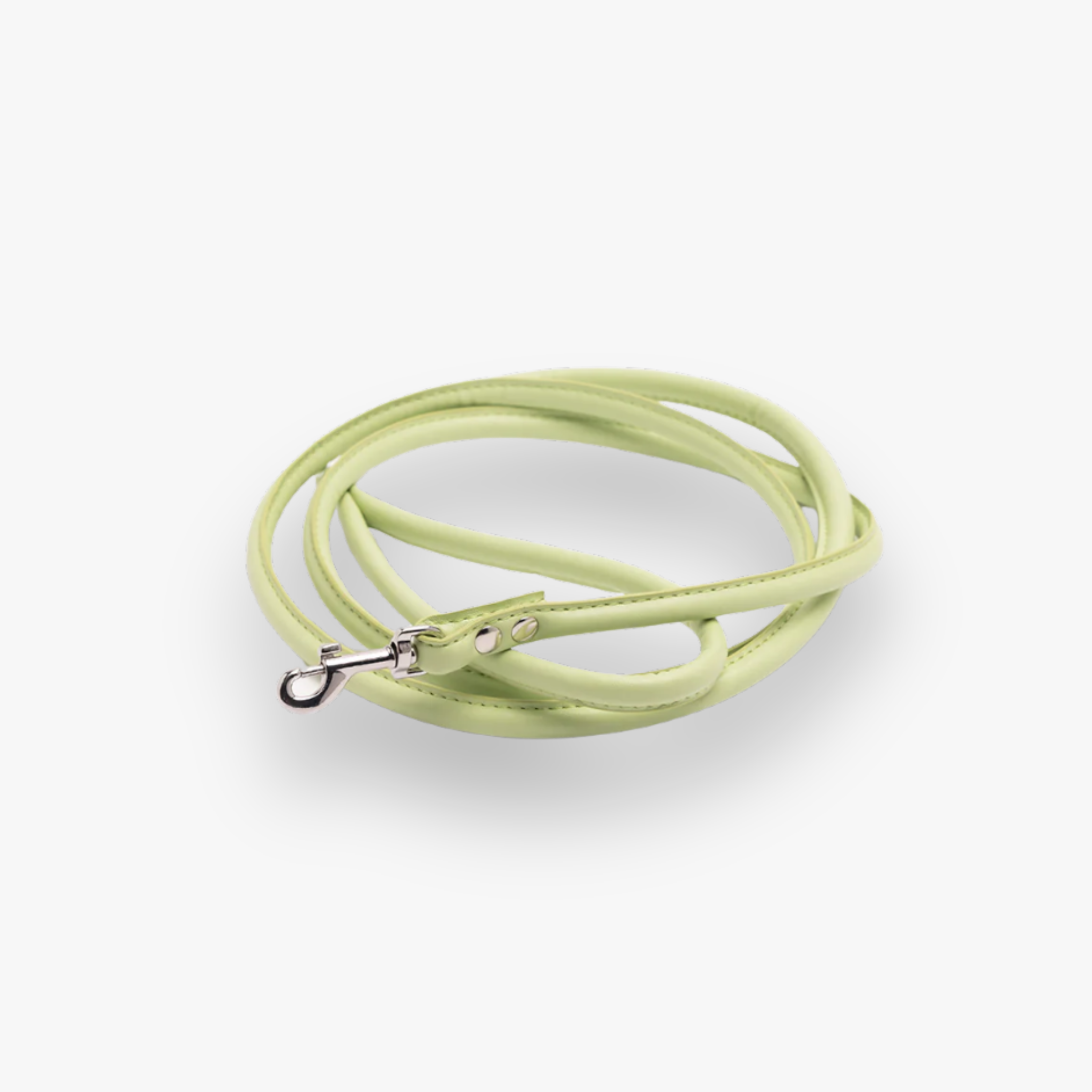 Leine 'Pastel Green' (M)