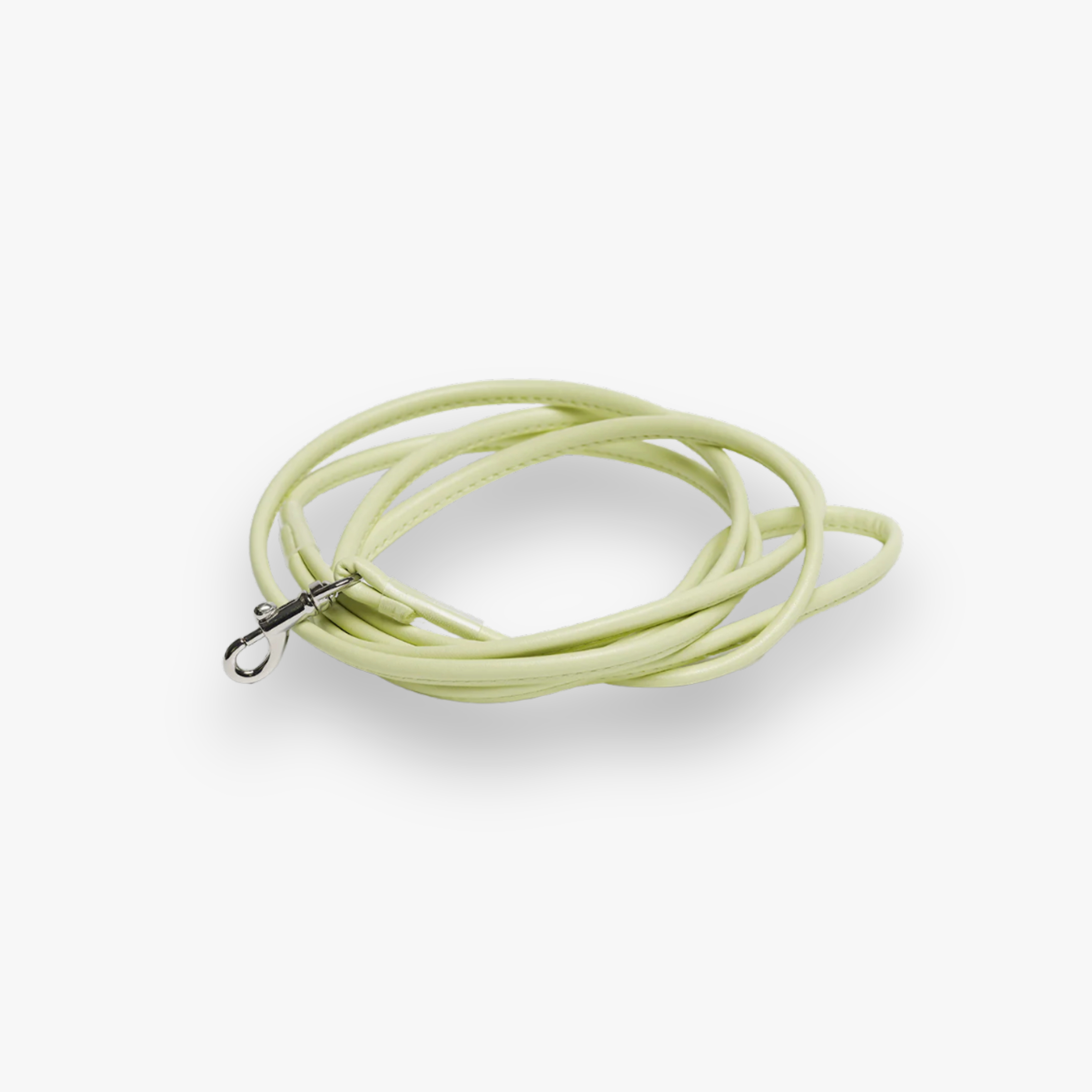 Leine 'Pastel Green' (S)