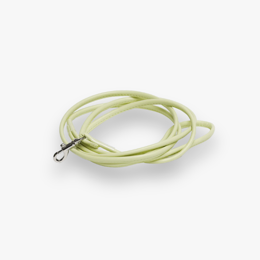 Leine 'Pastel Green' (S)